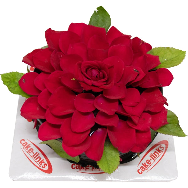 Chocolate Rose Cake