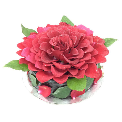 Choco Rose Cake - Cake Home Delivery