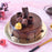 Choco Feast Chocolate Cake