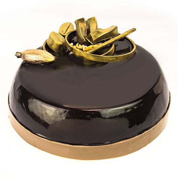 Chocolate Delight Golden Cake